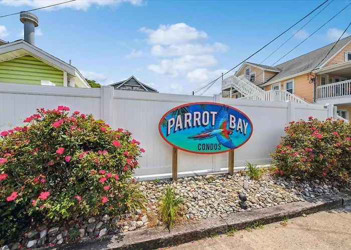 Parrot Bay 17 *