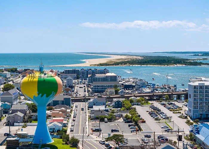Parrot Bay 17